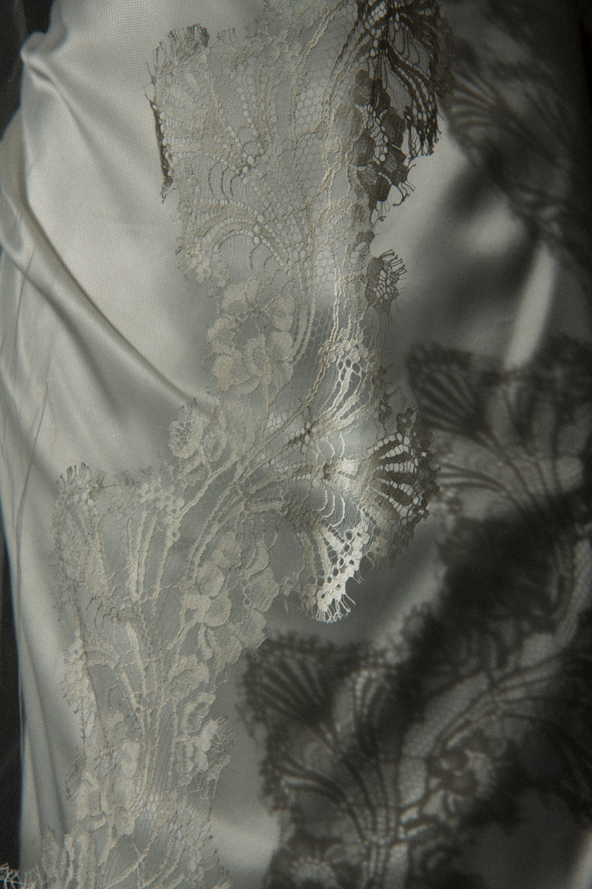 Clair de Lune cathedral mantilla veil in warm ivory tone, lace detail editorial close up