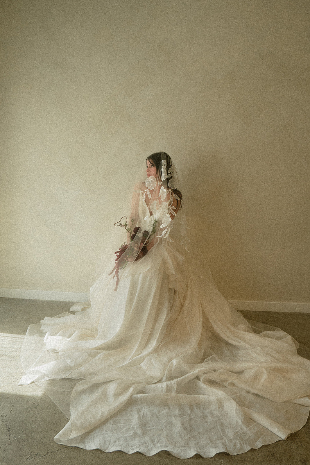 Warm Ivory cathedral length bridal veil with delicate floral lace detail